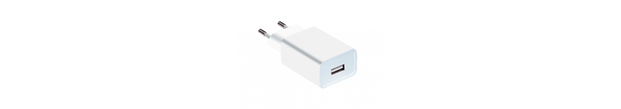 PayEye USB Wall Charger